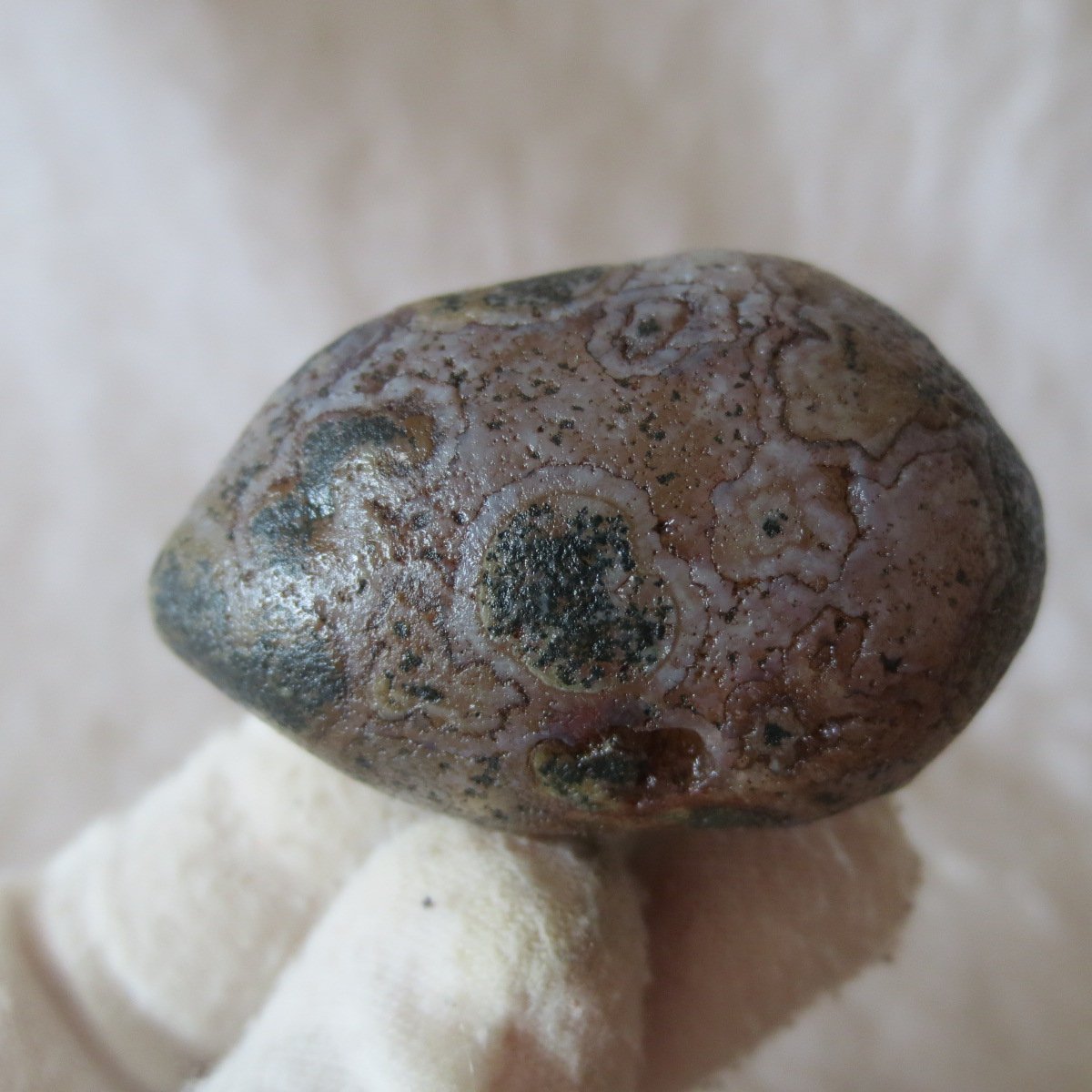 natural gobi eye stone，raw oracle eye agate，collectible crystal specimen (m108)