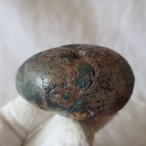 natural gobi eye stone，raw oracle eye agate，collectible crystal specimen (m108)