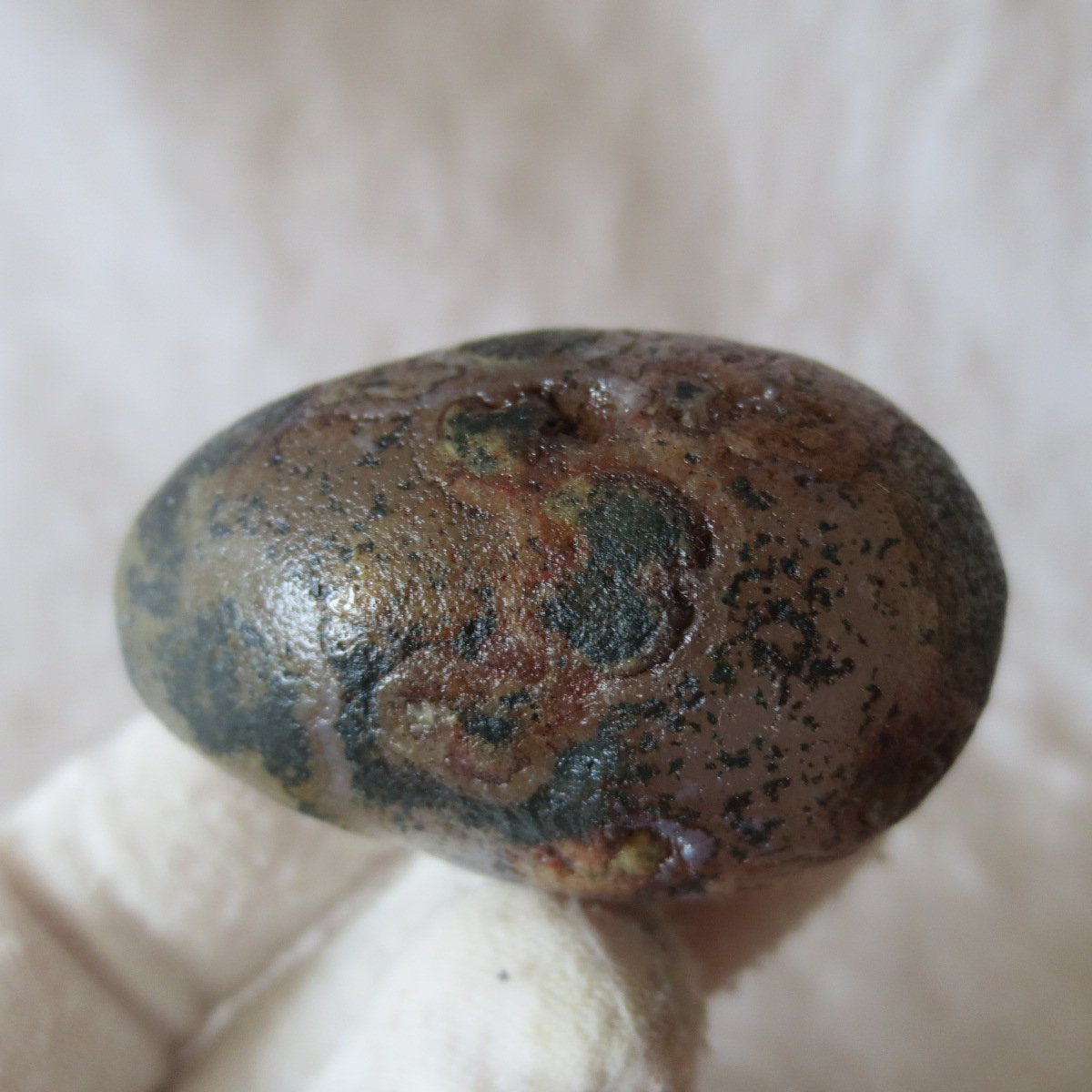 natural gobi eye stone，raw oracle eye agate，collectible crystal specimen (m108)