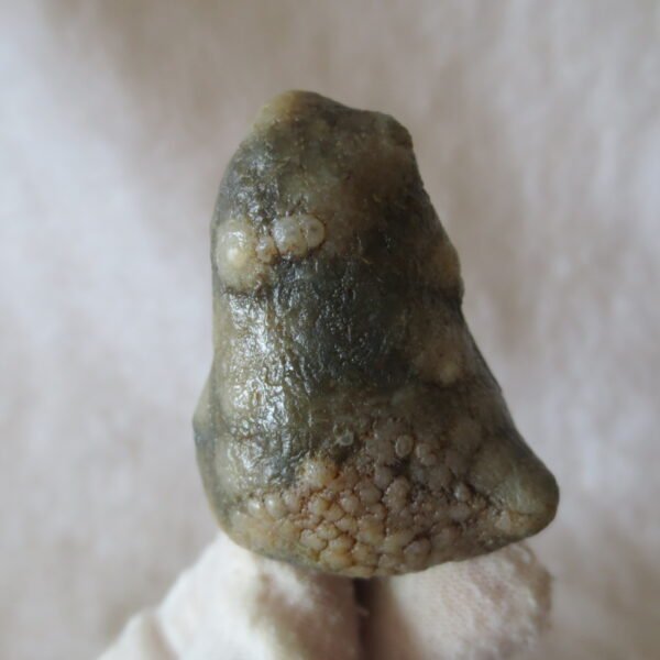 natural gobi eye stone，raw oracle eye agate，collectible crystal specimen (m109)