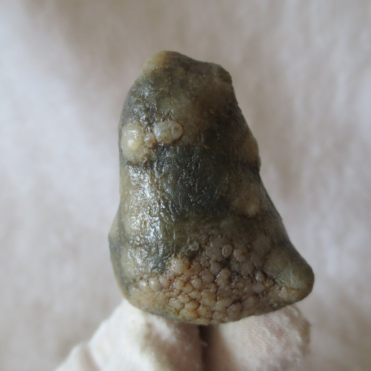 natural gobi eye stone，raw oracle eye agate，collectible crystal specimen (m109)