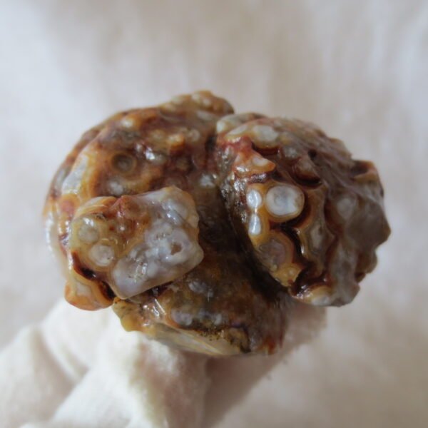 natural gobi eye stone，raw oracle eye agate，collectible crystal specimen (m110)