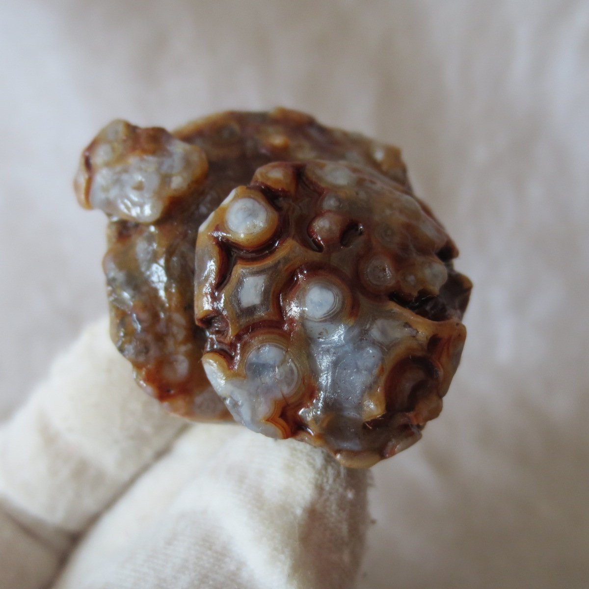 natural gobi eye stone，raw oracle eye agate，collectible crystal specimen (m110)