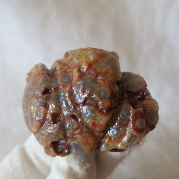 natural gobi eye stone，raw oracle eye agate，collectible crystal specimen (m110)