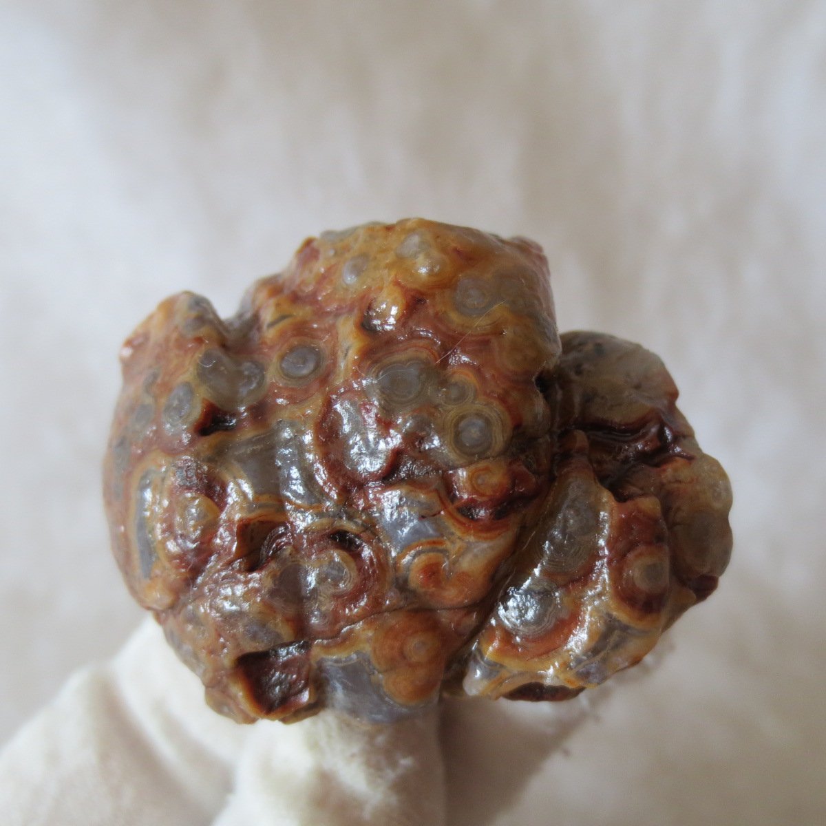 natural gobi eye stone，raw oracle eye agate，collectible crystal specimen (m110)