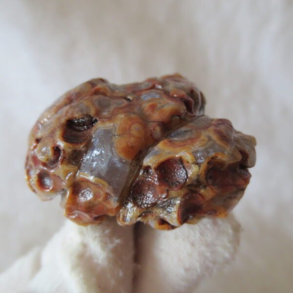 natural gobi eye stone，raw oracle eye agate，collectible crystal specimen (m110)