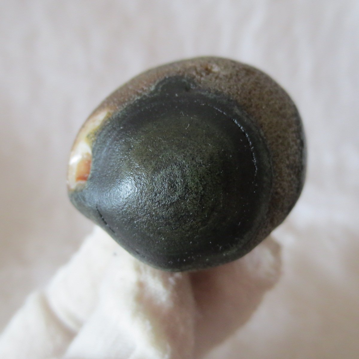 natural gobi eye stone，raw oracle eye agate，collectible crystal specimen (m110) (copy)