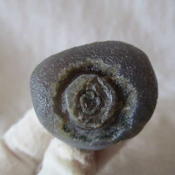 natural gobi eye stone，raw oracle eye agate，collectible crystal specimen (m114)