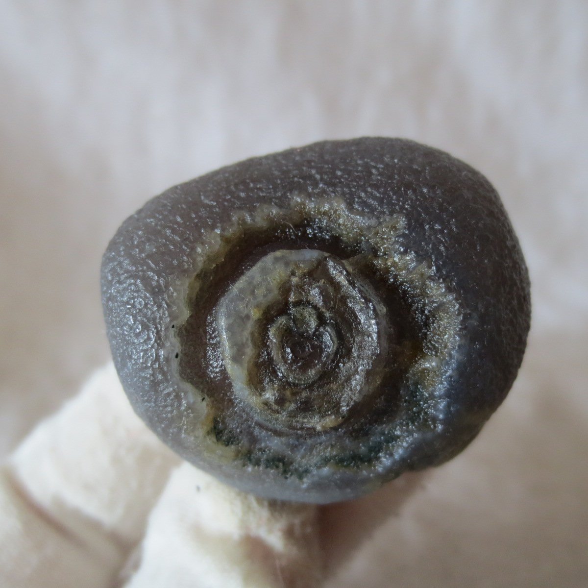 natural gobi eye stone，raw oracle eye agate，collectible crystal specimen (m114)