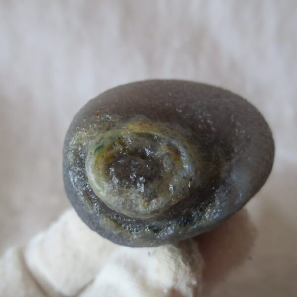 natural gobi eye stone，raw oracle eye agate，collectible crystal specimen (m114)