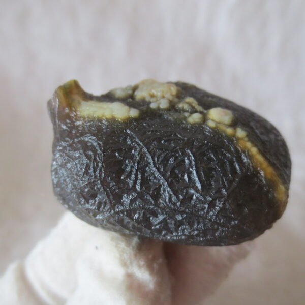 natural gobi eye stone，raw oracle eye agate，collectible crystal specimen (m115)
