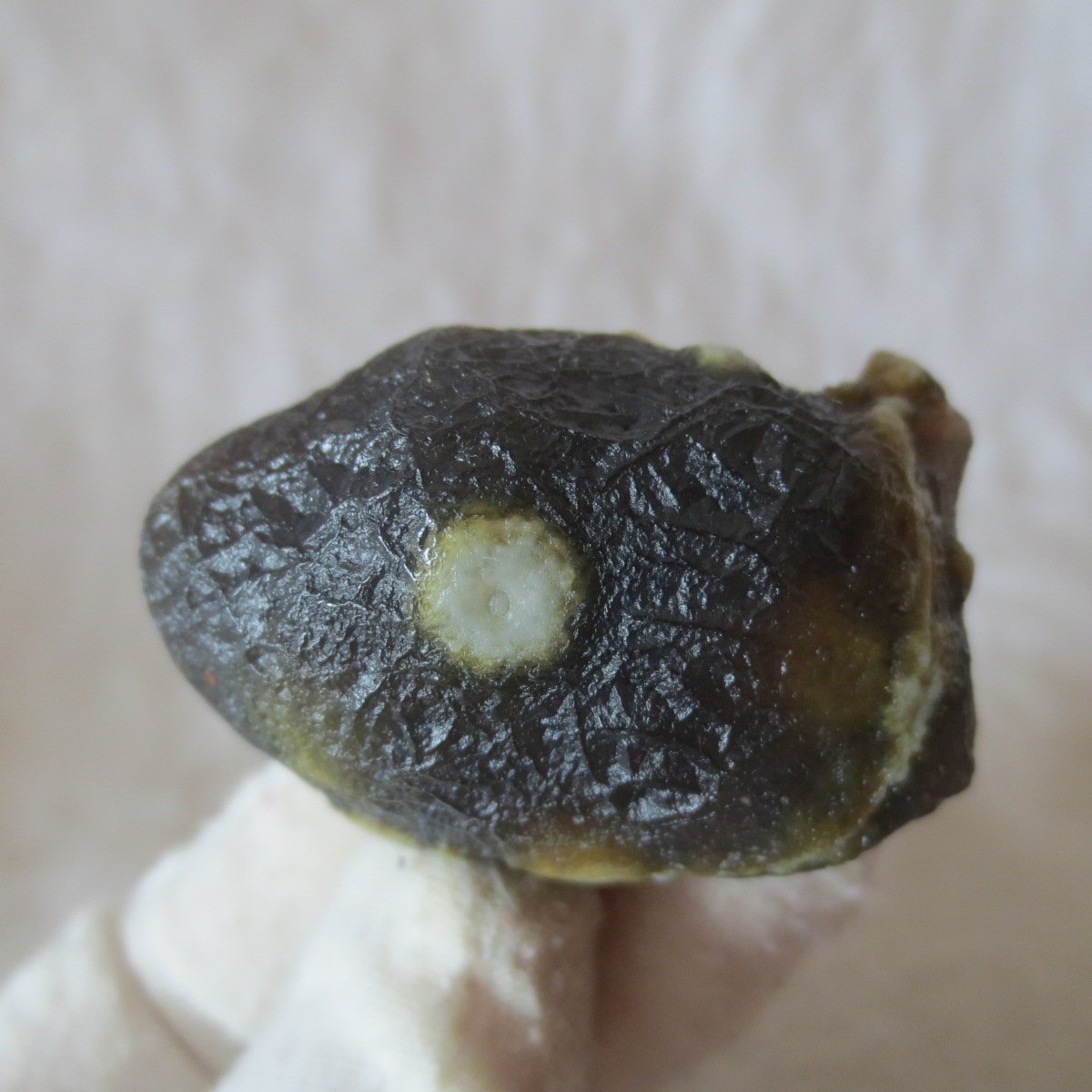 natural gobi eye stone，raw oracle eye agate，collectible crystal specimen (m115)