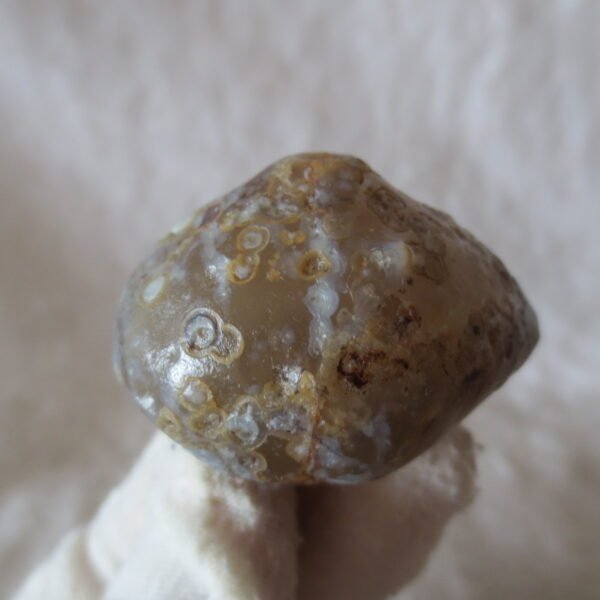 natural gobi eye stone，raw oracle eye agate，collectible crystal specimen (m116)