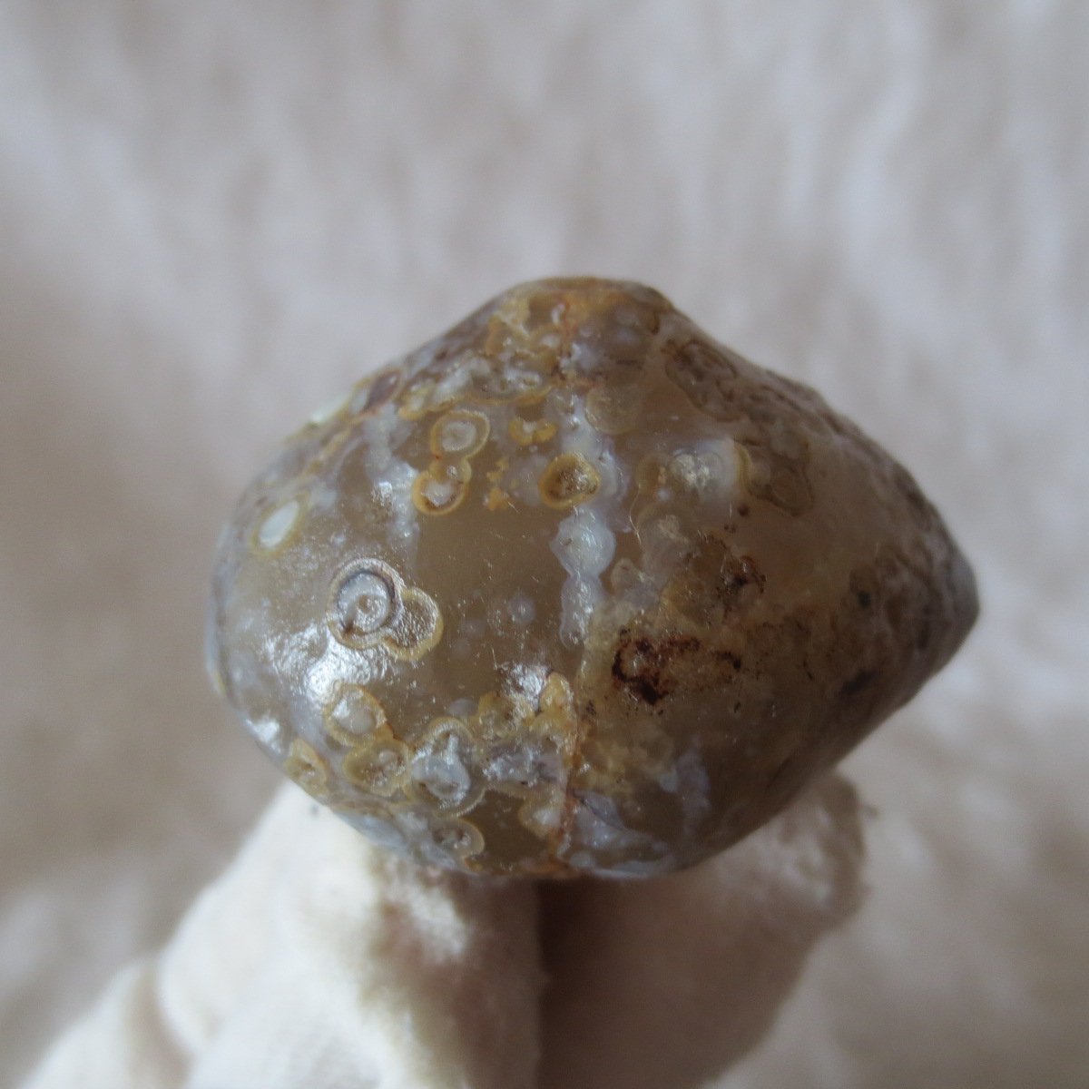 natural gobi eye stone，raw oracle eye agate，collectible crystal specimen (m116)