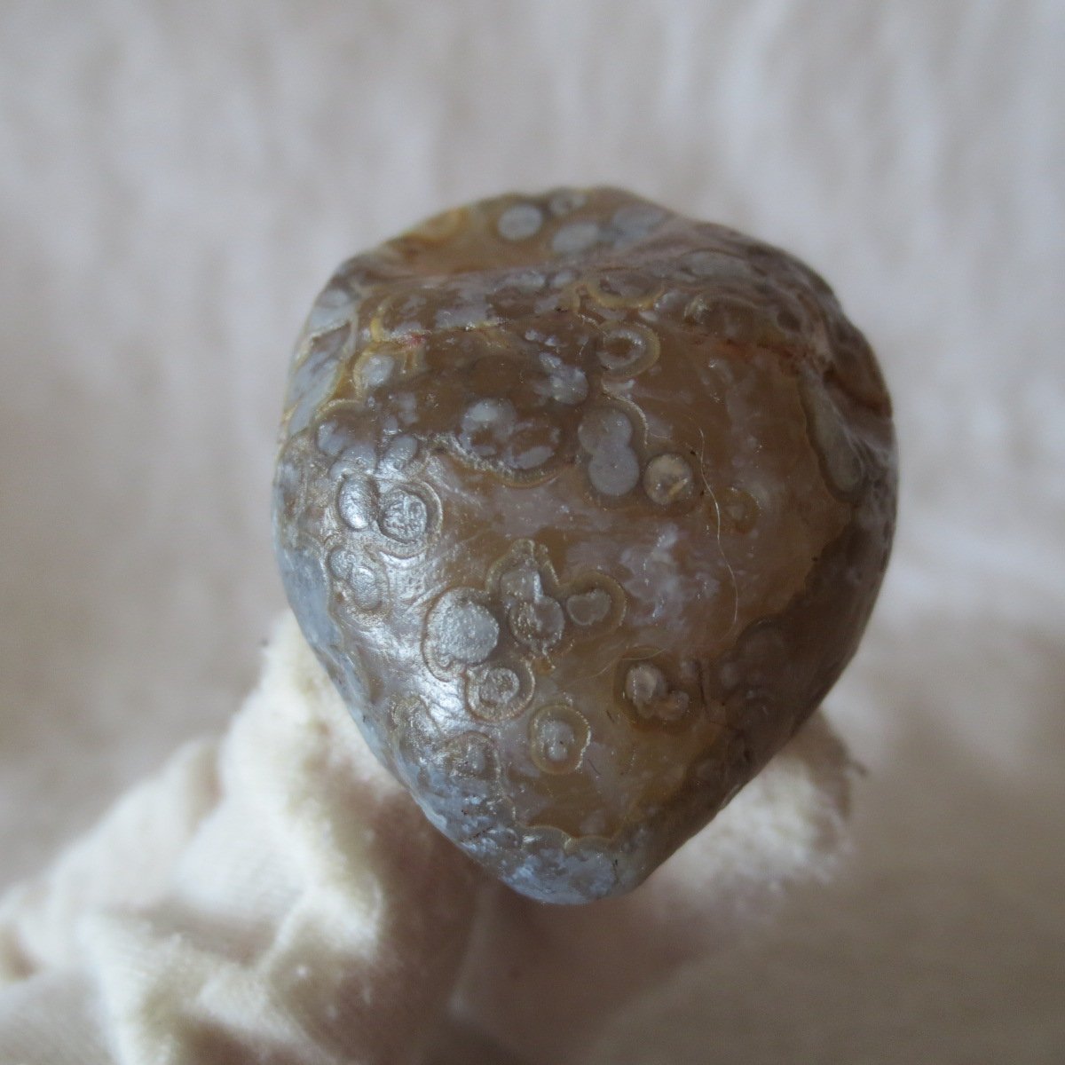 natural gobi eye stone，raw oracle eye agate，collectible crystal specimen (m116)