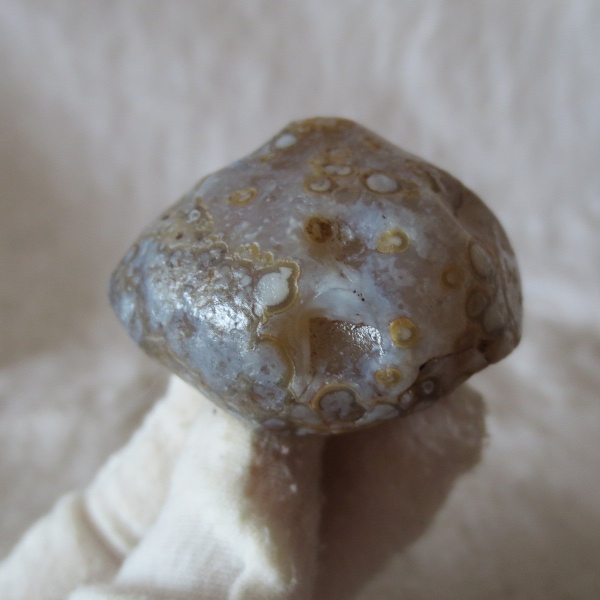 natural gobi eye stone，raw oracle eye agate，collectible crystal specimen (m116)