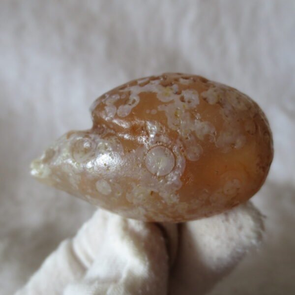 natural gobi eye stone，raw oracle eye agate，collectible crystal specimen (m117)