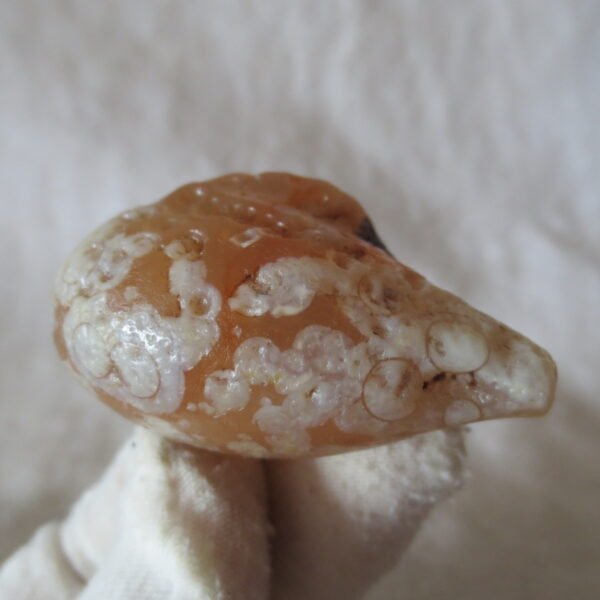 natural gobi eye stone，raw oracle eye agate，collectible crystal specimen (m117)