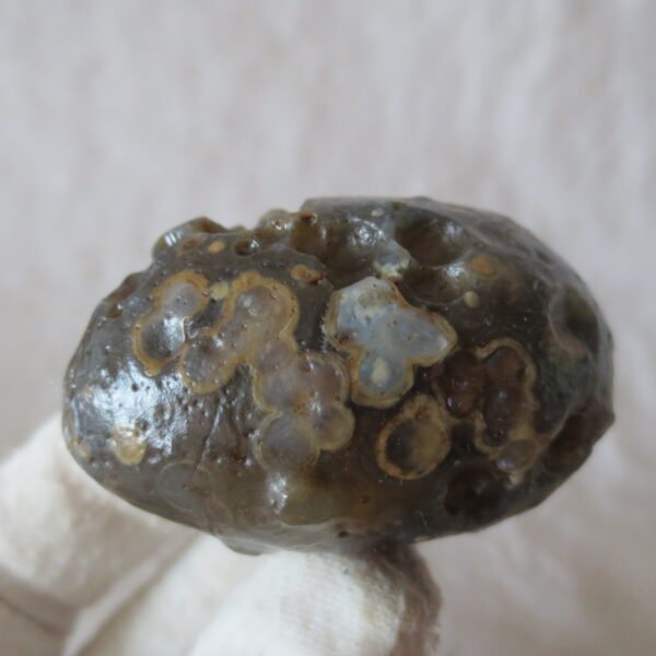 natural gobi eye stone，raw oracle eye agate，collectible crystal specimen (m107)