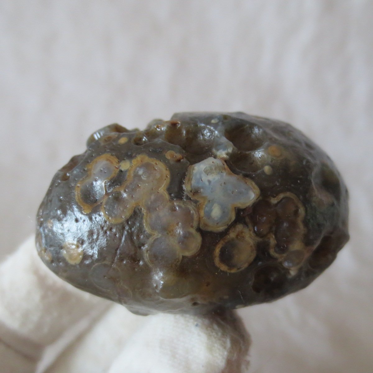 natural gobi eye stone，raw oracle eye agate，collectible crystal specimen (m107)
