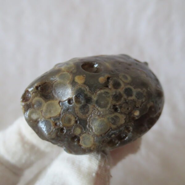 natural gobi eye stone，raw oracle eye agate，collectible crystal specimen (m107)