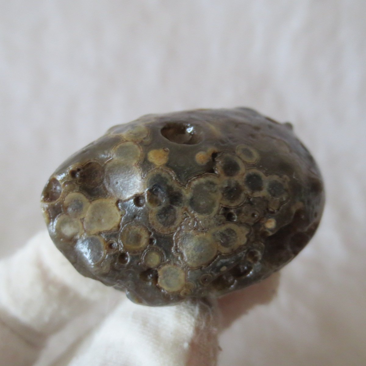 natural gobi eye stone，raw oracle eye agate，collectible crystal specimen (m107)
