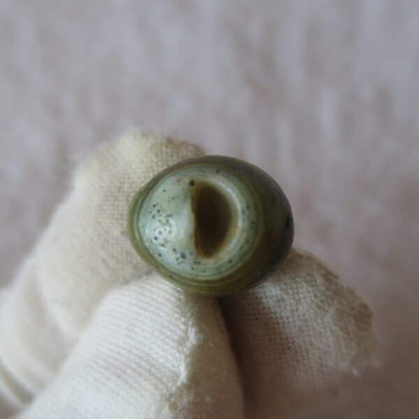 gobi desert eye agate natural collectible rough stone specimen (m214)