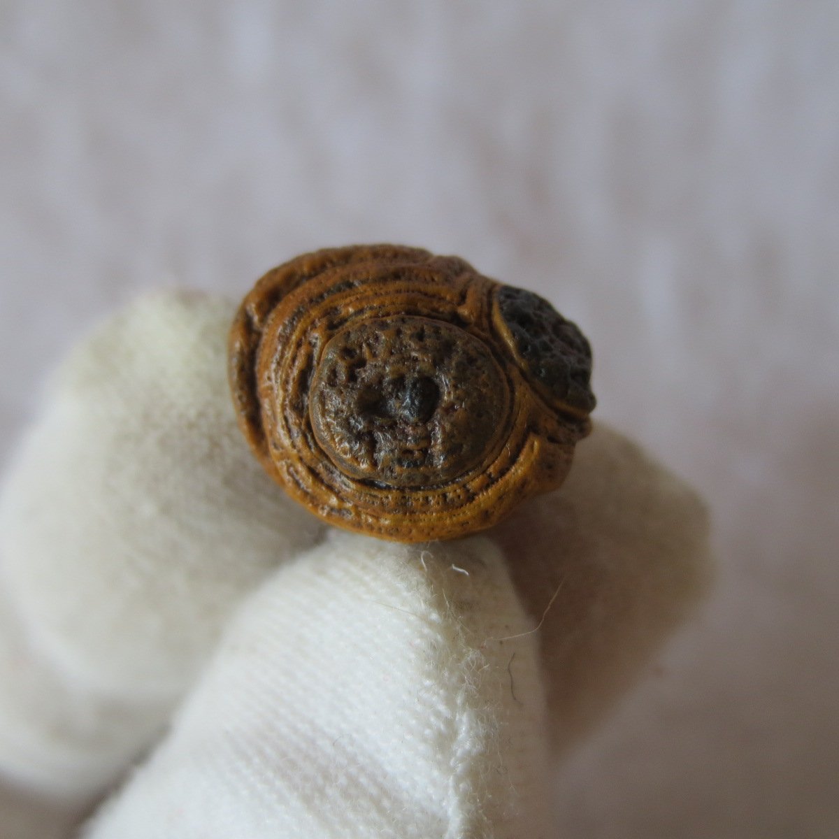 tiny gobi desert eye agate natural collectible rough stone specimen (m215)