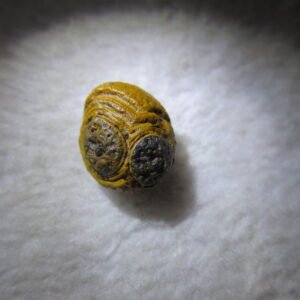tiny gobi desert eye agate natural collectible rough stone specimen (m215)