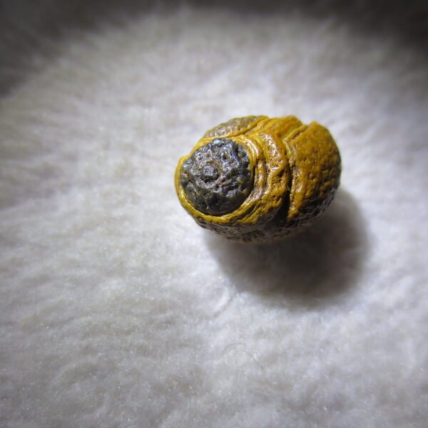 tiny gobi desert eye agate natural collectible rough stone specimen (m215)