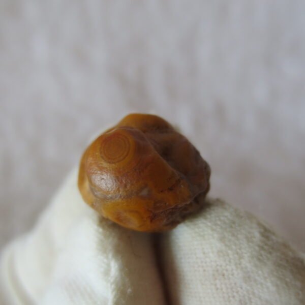 tiny gobi desert eye agate natural collectible rough stone specimen (m215) (copy)