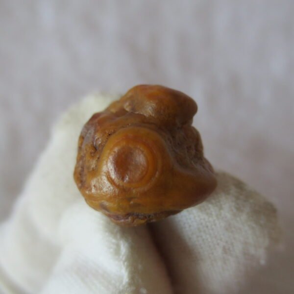 tiny gobi desert eye agate natural collectible rough stone specimen (m215) (copy)