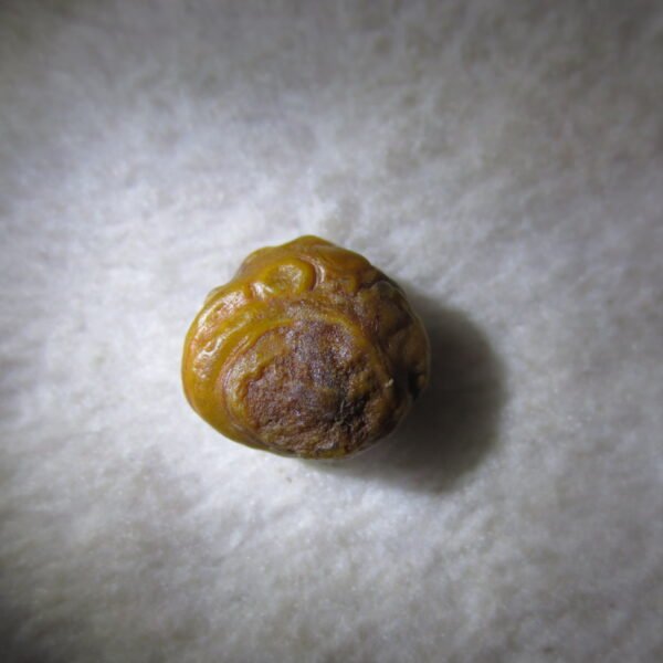 tiny gobi desert eye agate natural collectible rough stone specimen (m215) (copy)