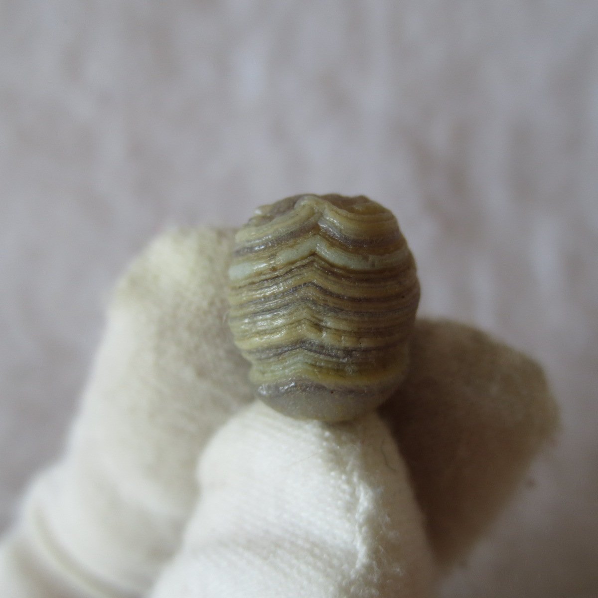 tiny gobi desert eye agate natural collectible rough stone specimen (m217) (copy)