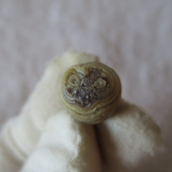 tiny gobi desert eye agate natural collectible rough stone specimen (m217) (copy)