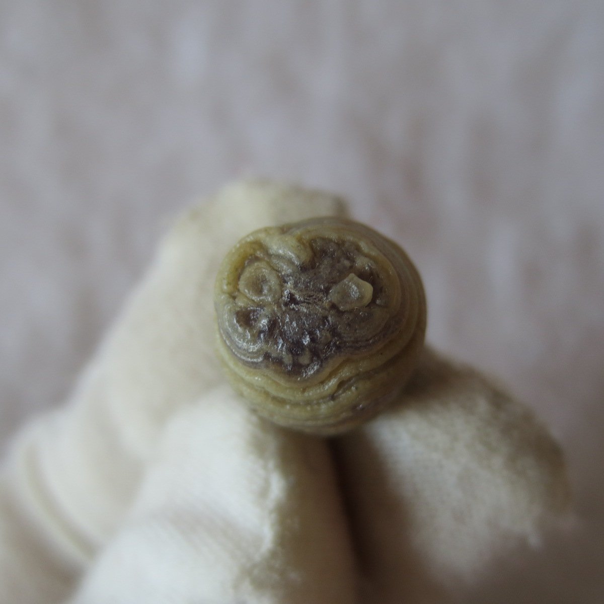 tiny gobi desert eye agate natural collectible rough stone specimen (m217) (copy)