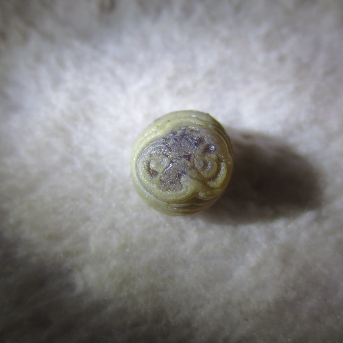tiny gobi desert eye agate natural collectible rough stone specimen (m217) (copy)