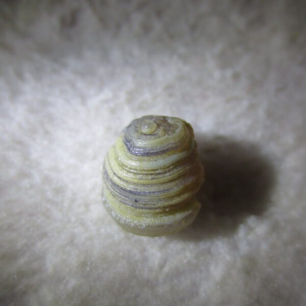 tiny gobi desert eye agate natural collectible rough stone specimen (m217) (copy)
