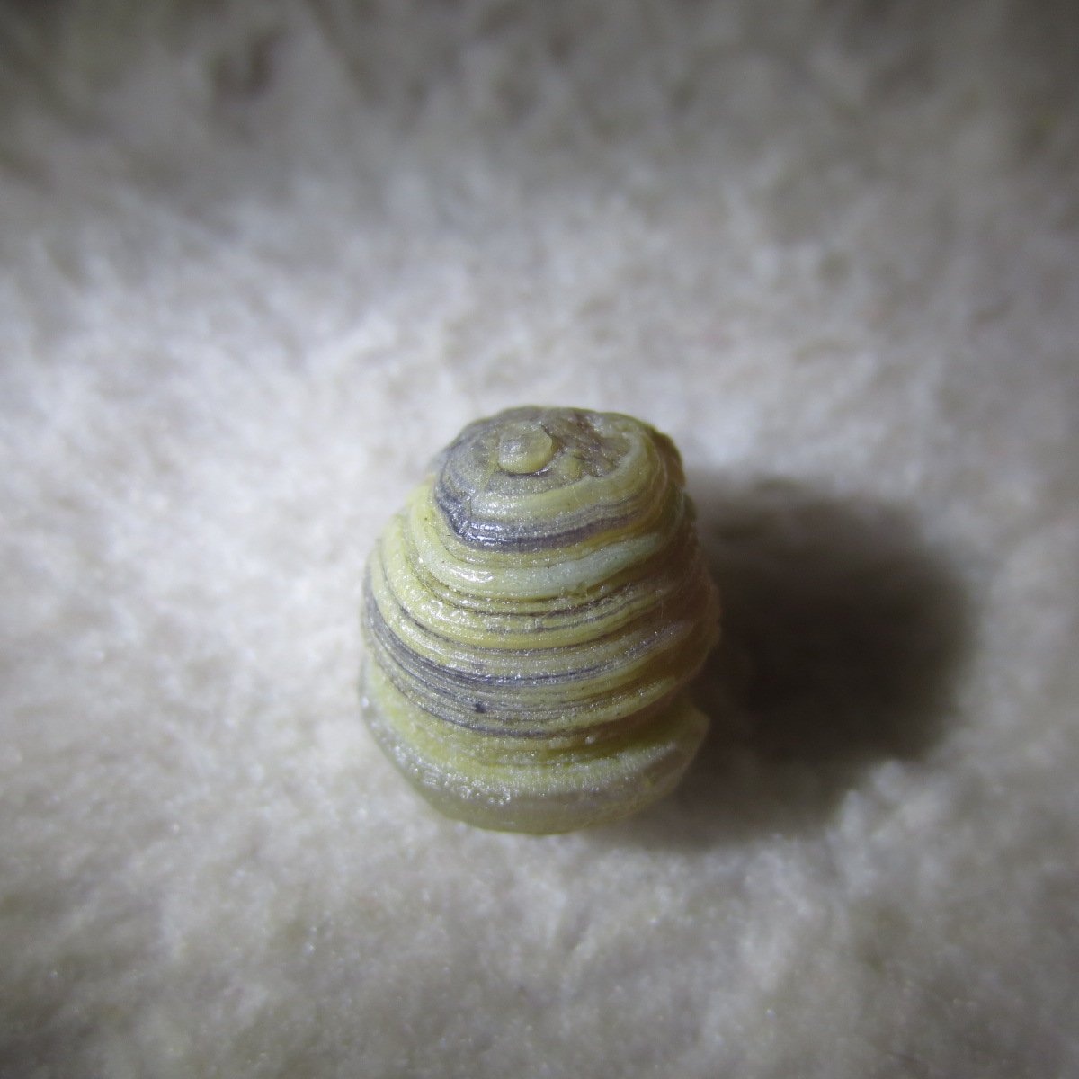 tiny gobi desert eye agate natural collectible rough stone specimen (m217) (copy)