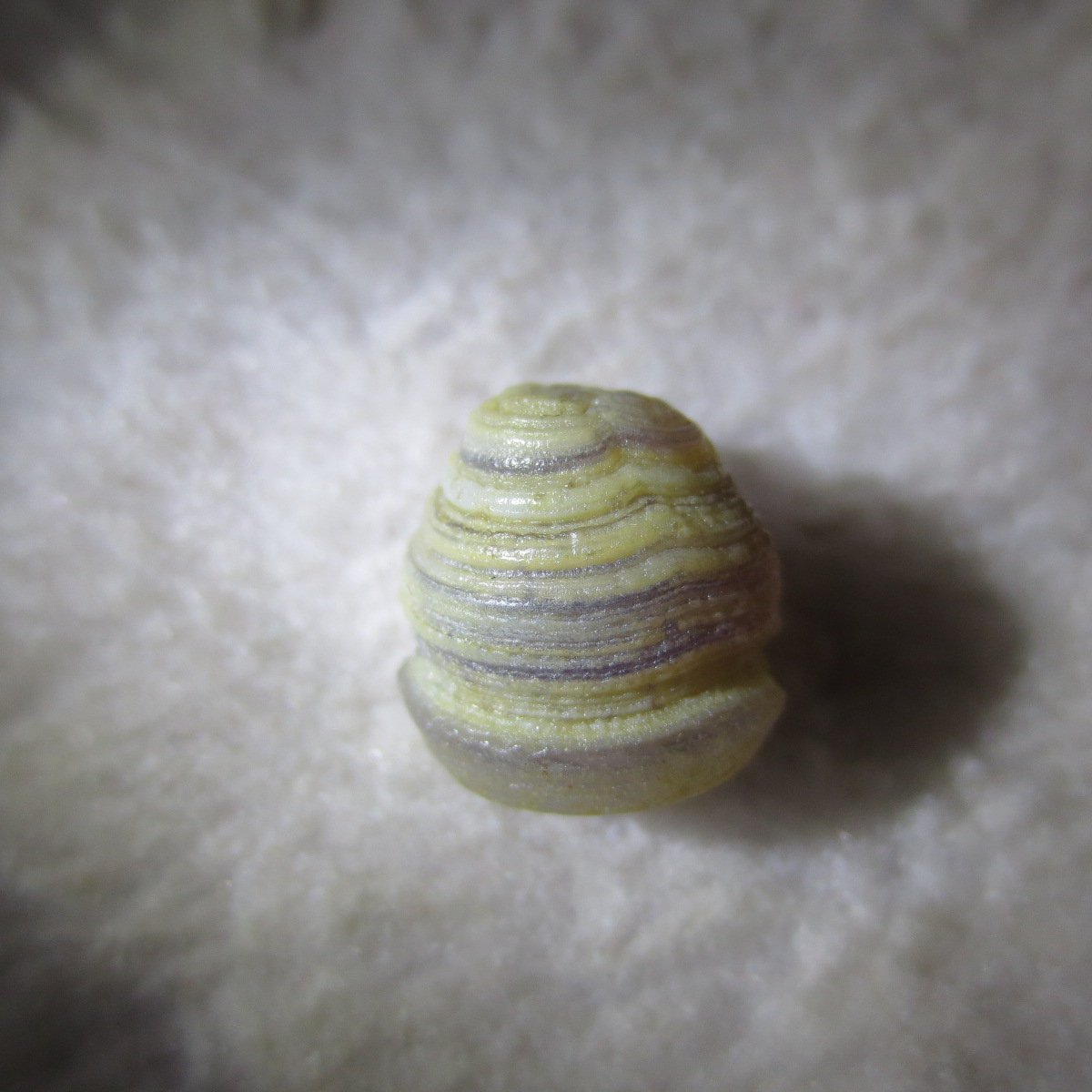 tiny gobi desert eye agate natural collectible rough stone specimen (m217) (copy)