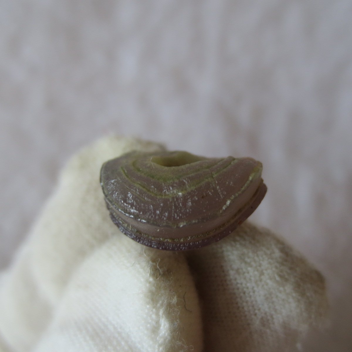 tiny gobi desert eye agate natural collectible rough stone specimen (m218) (copy)