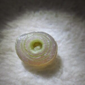 tiny gobi desert eye agate natural collectible rough stone specimen (m219)
