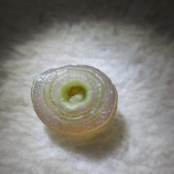 tiny gobi desert eye agate natural collectible rough stone specimen (m219)