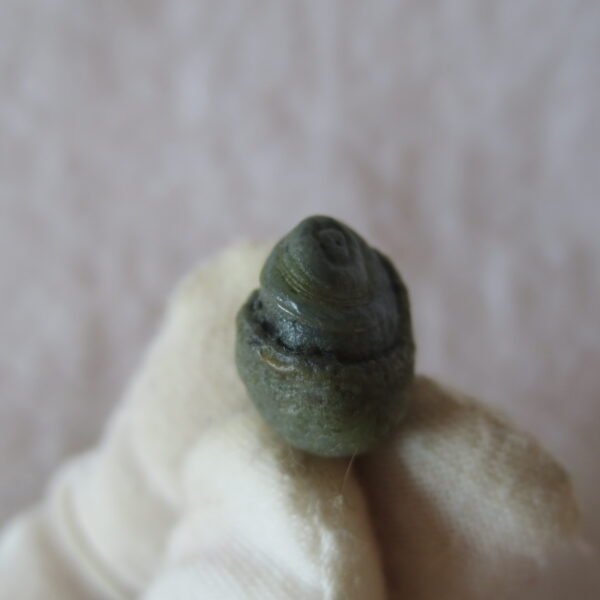 tiny gobi desert eye agate natural collectible rough stone specimen (m219) (copy)
