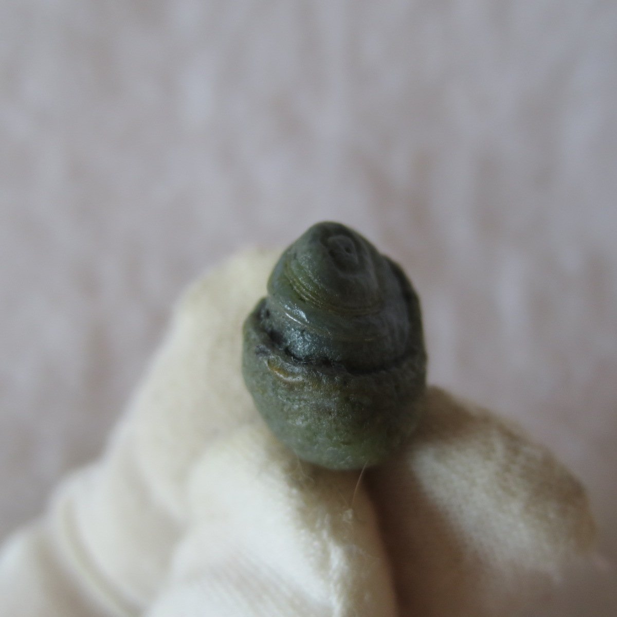 tiny gobi desert eye agate natural collectible rough stone specimen (m219) (copy)