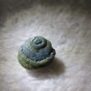 tiny gobi desert eye agate natural collectible rough stone specimen (m219) (copy)