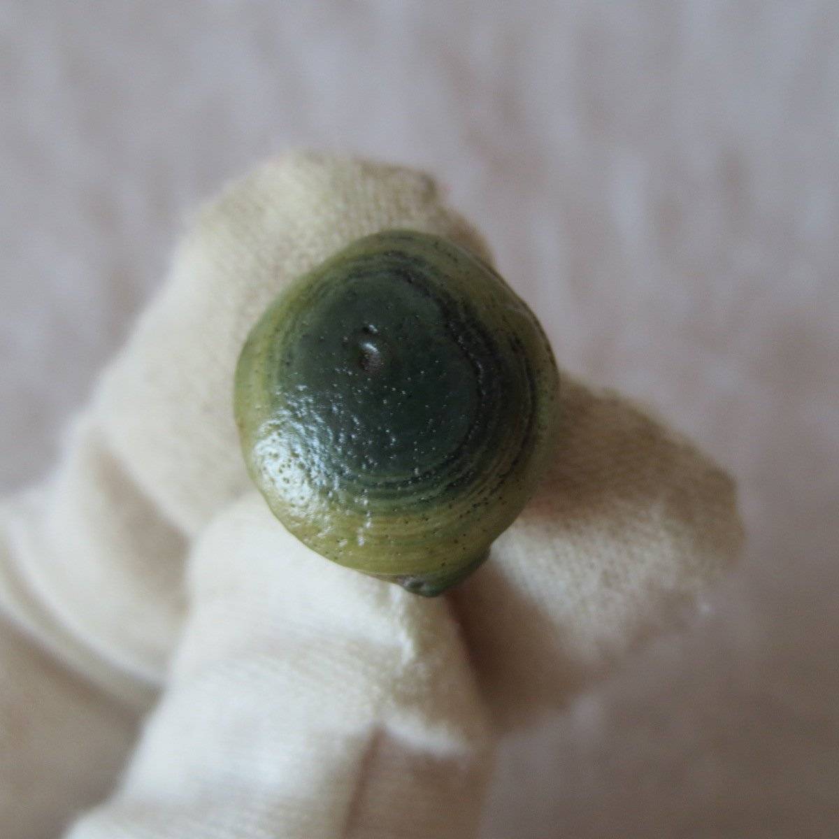 tiny gobi desert eye agate natural collectible rough stone specimen (m221)