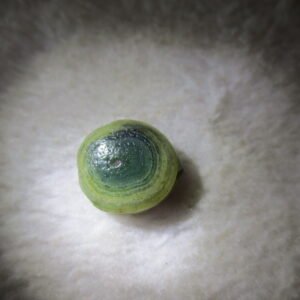tiny gobi desert eye agate natural collectible rough stone specimen (m221)