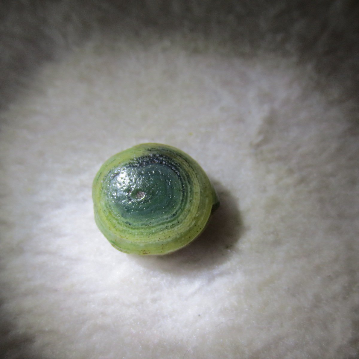 tiny gobi desert eye agate natural collectible rough stone specimen (m221)