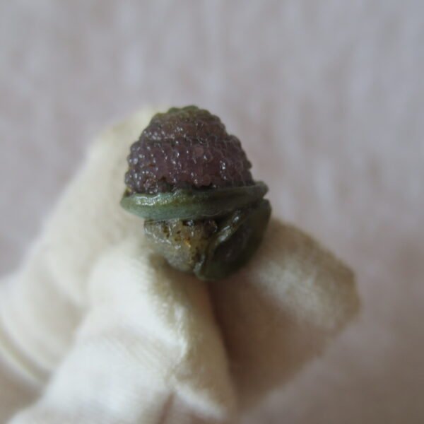 tiny gobi desert eye agate natural collectible rough stone specimen (m222)
